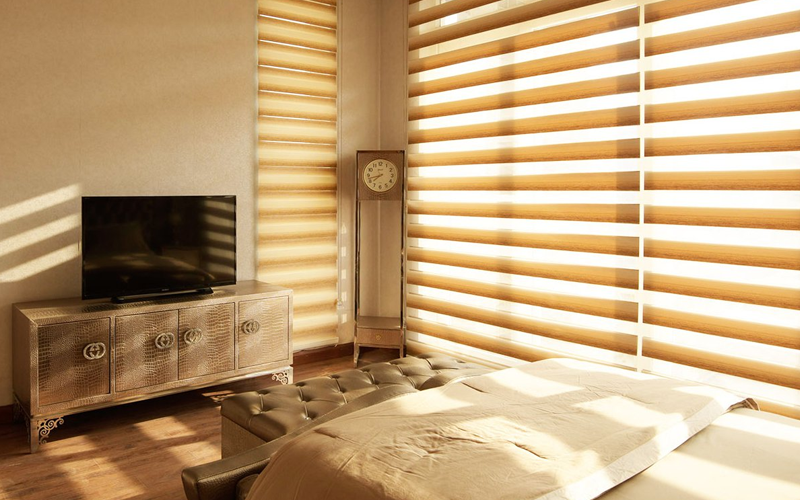 Zebra Blind Dealers In Delhi NCR